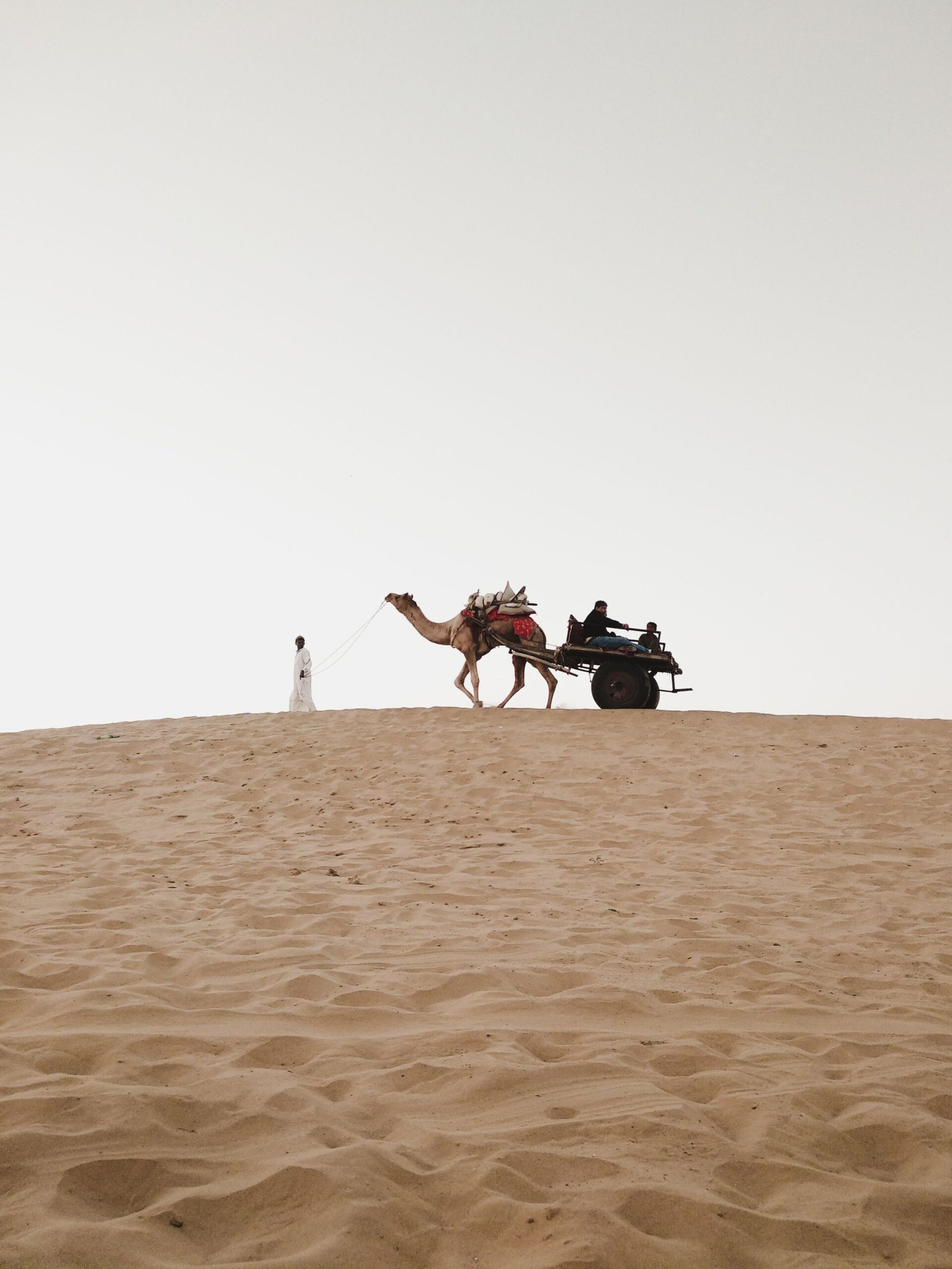 Guided Sunset Camel Safari across Kanoi Sand Dunes Jaisalmer