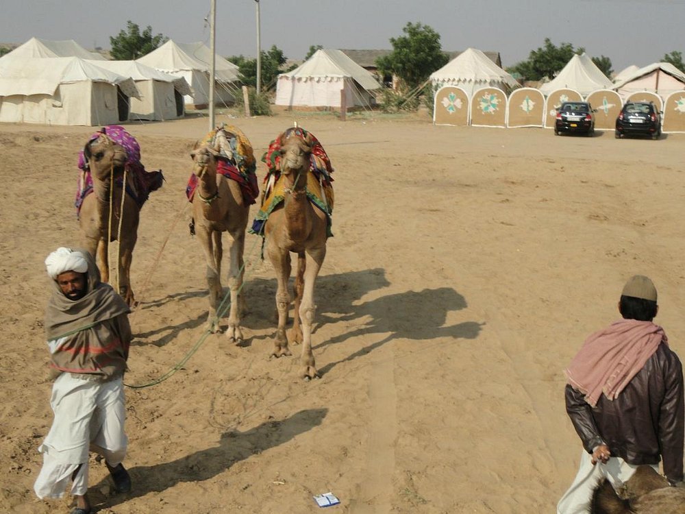 Royal Camel and Thar Jeep Baraat Leading to Open Sand Dune Mandap